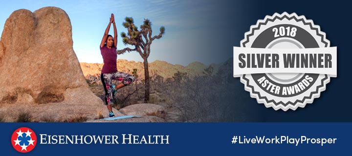 Eisenhower wins Silver Aster Award