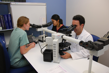 School of Medical Technology students learning to use microscopes